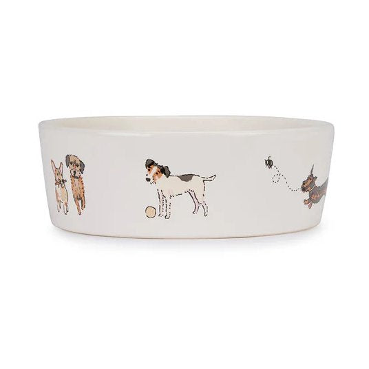 Doggy Daycare Dog Bowl