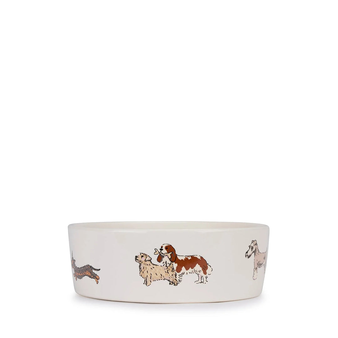 Doggy Daycare Dog Bowl