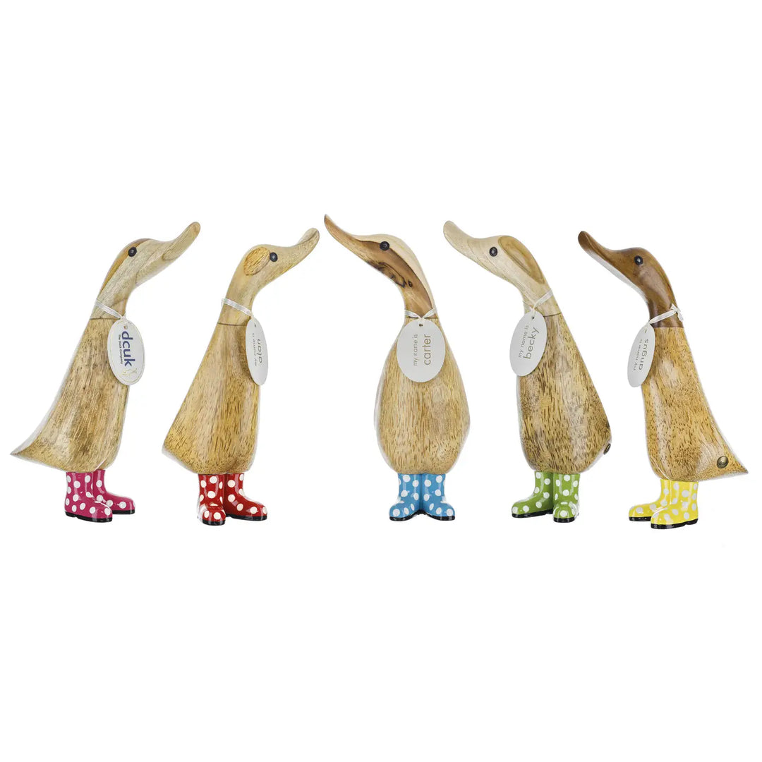 what the duck付属品 innovation unviversity DCUK Spotty Boots Duckys – Ducks-n-Stuff