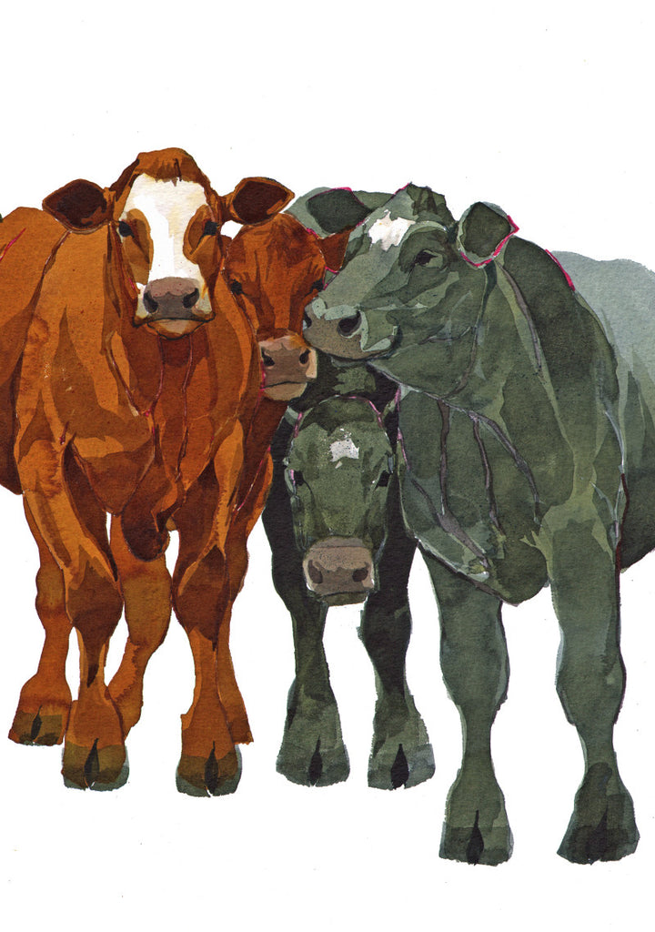 Fat Cattle Journal by Mary Ann Rogers