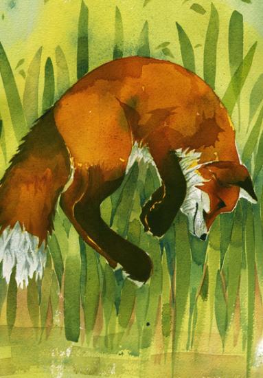 Fox Journal by Mary Ann Rogers