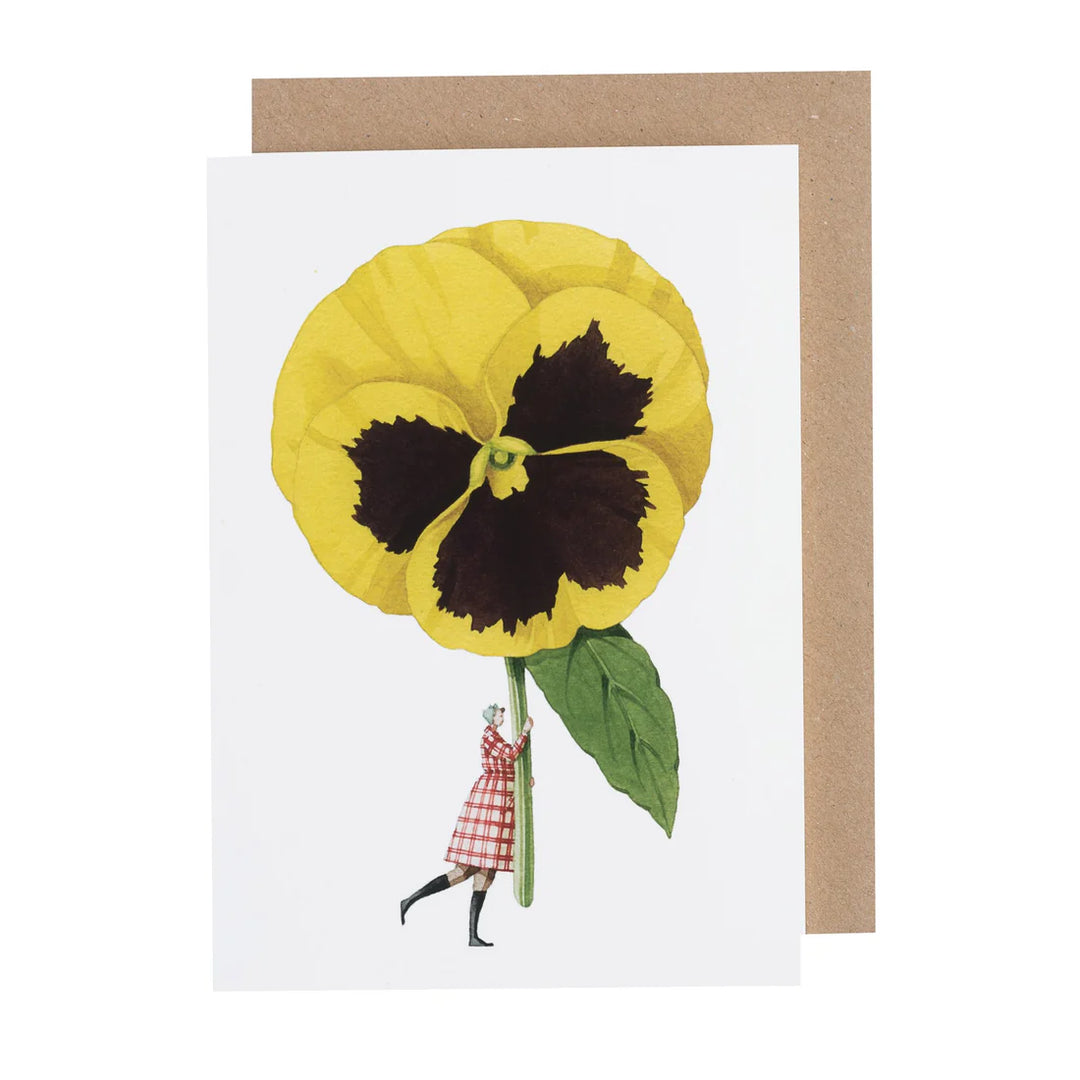 Pansy Greetings Card