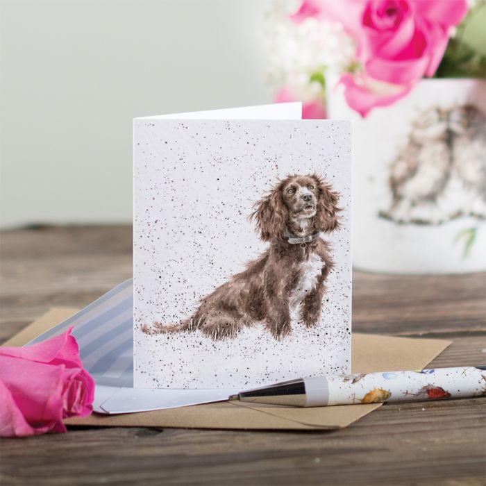 'Obedience' Spaniel Enclosure Card