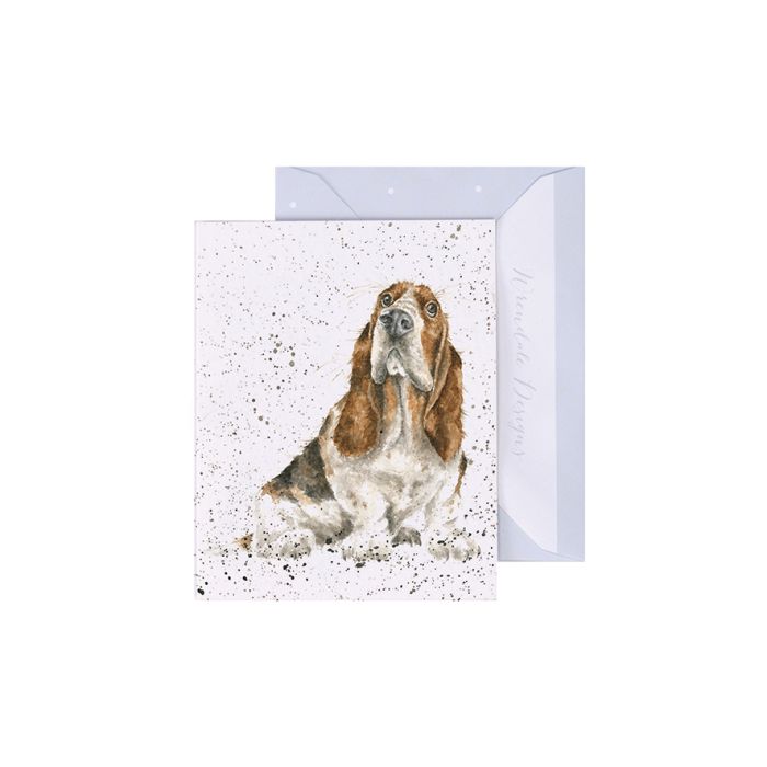 'Did Someone Say Cake?' Basset Hound Enclosure Card