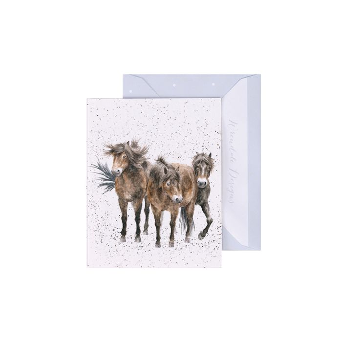 'Three Amigos' Horse Gift Enclosure Card