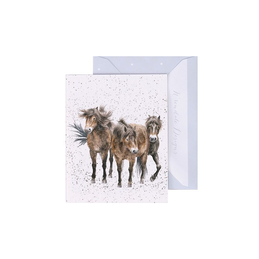 'Three Amigos' Horse Gift Enclosure Card