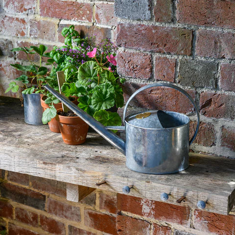 Sophie Conran Indoor Watering Can - Galvanized