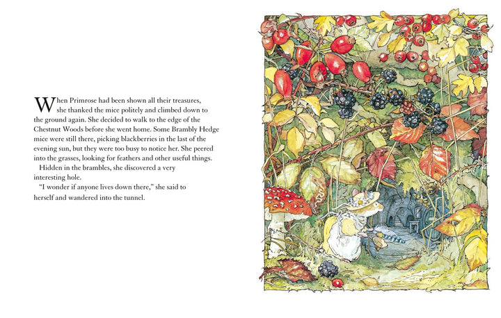 'Autumn Story' by Jill Barklem