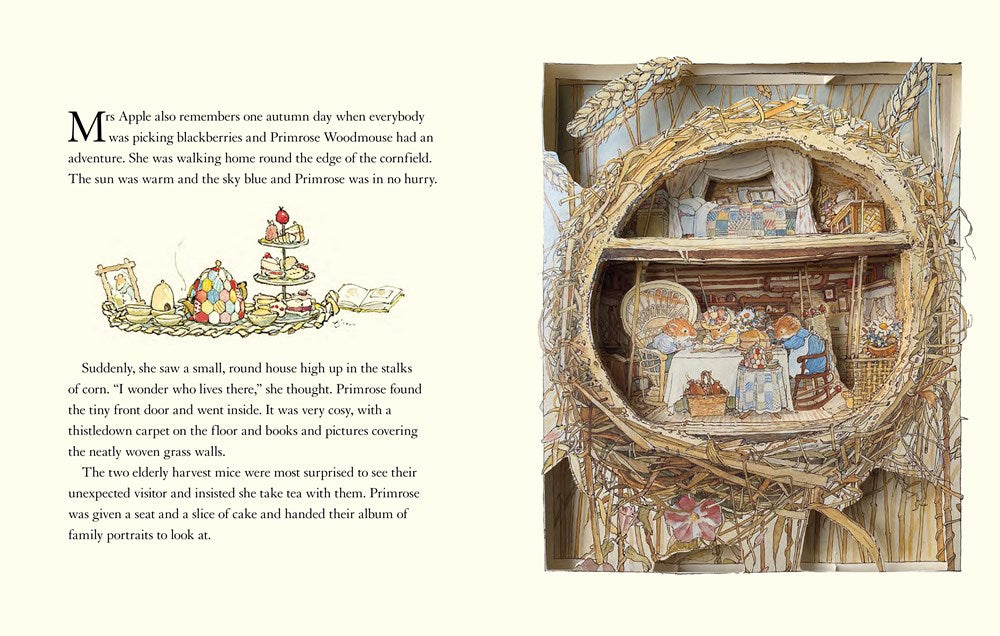 'The Brambly Hedge: Pop-Up Book' by Jill Barklem