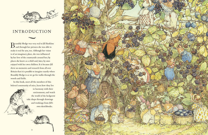 'A Visit to Brambly Hedge' by Jill Barklem