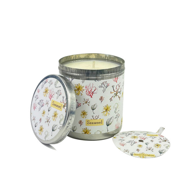 Seaweed- Sea Salt & Spray Candle Tin