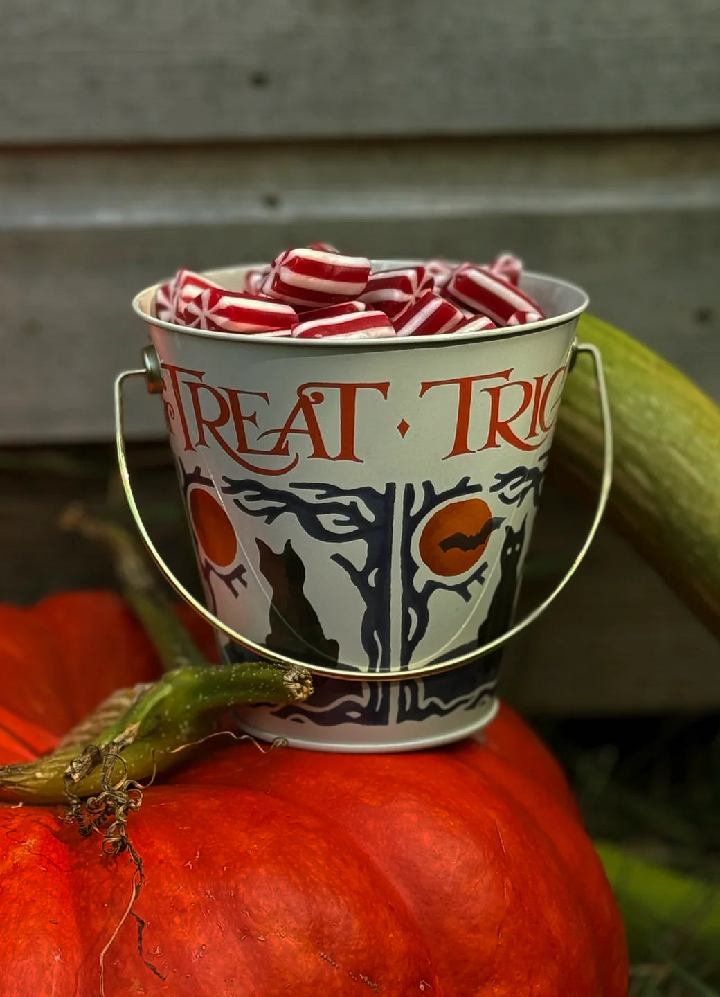 Halloween Trick or Treat Tin Treat Bucket