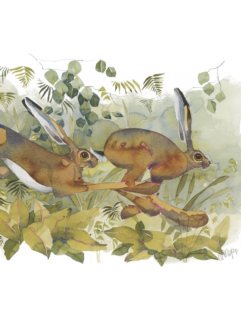 Hares Journal by Mary Ann Rogers