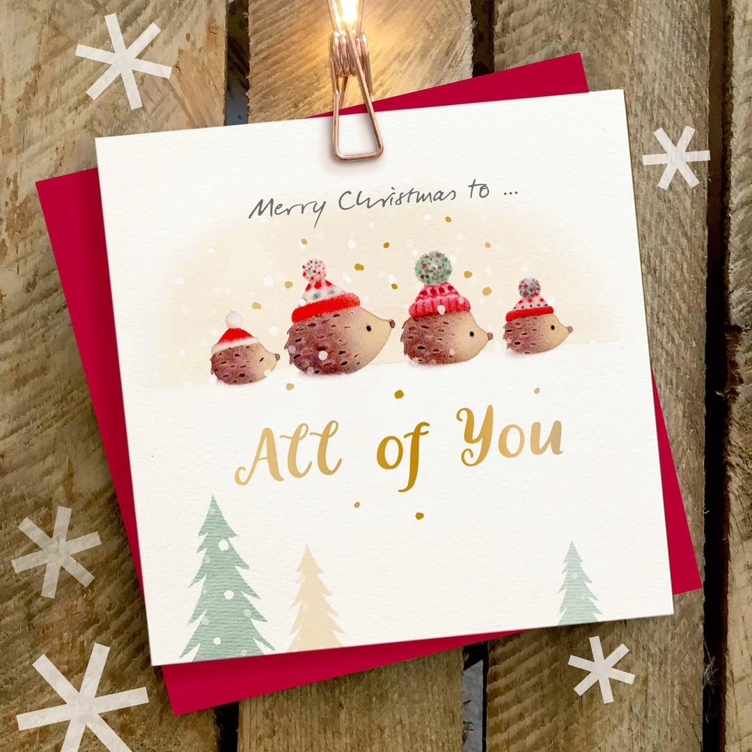Merry Christmas to All of You Hedgehog Card