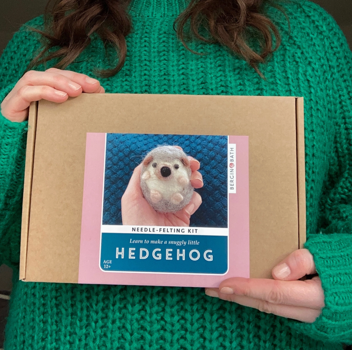 Hedgehog Needle Felting Kit