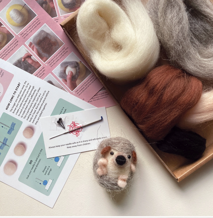 Hedgehog Needle Felting Kit