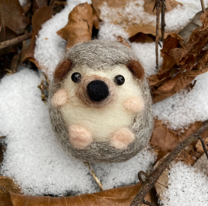 Hedgehog Needle Felting Kit