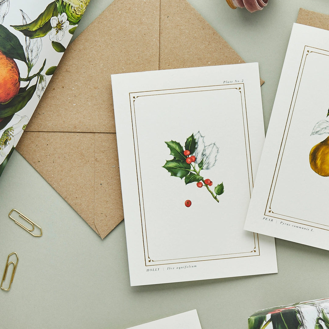 Holly - 'Botanical Archive: Festive Edition' Greeting Card