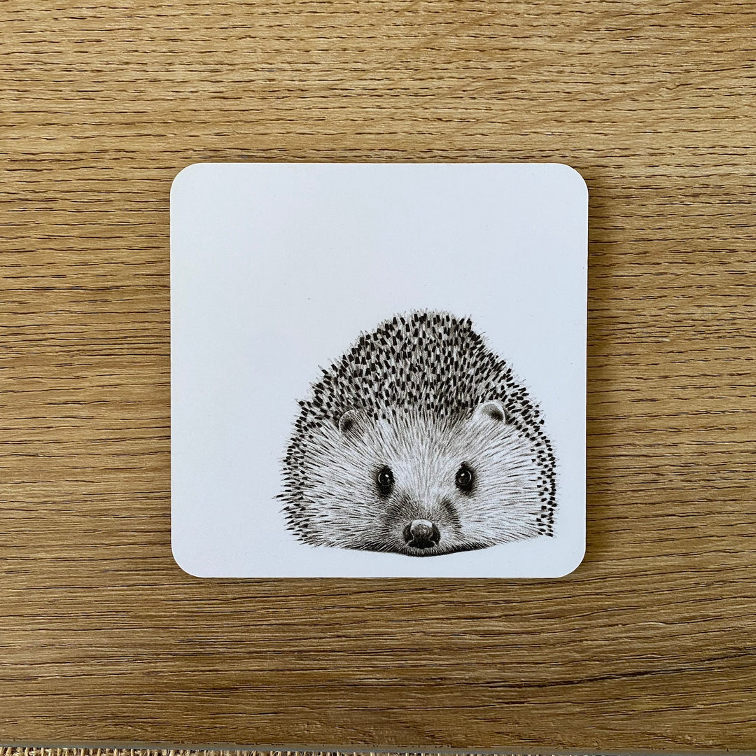Henry Hedgehog Coaster