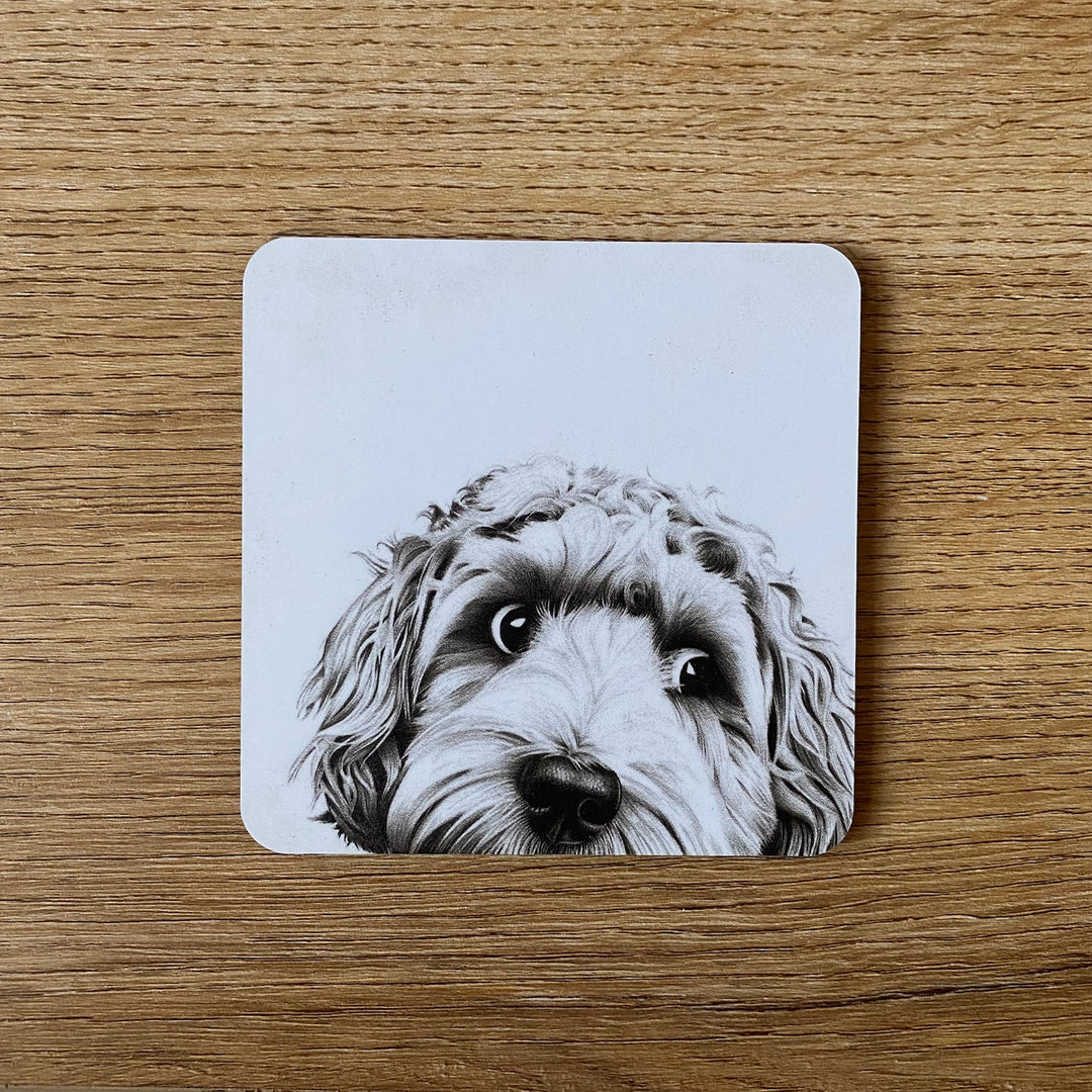 Dino the Cockapoo Coaster