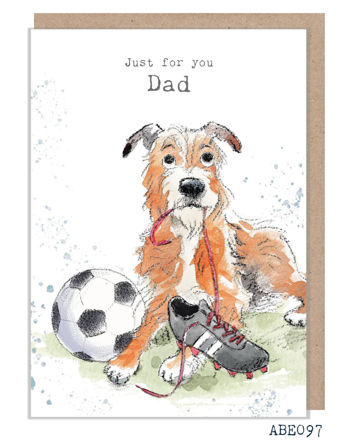 Just For You Dad Father's Day Greetings Card