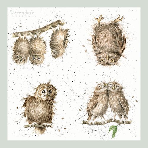 'What a Hoot' Owl Paper Napkins