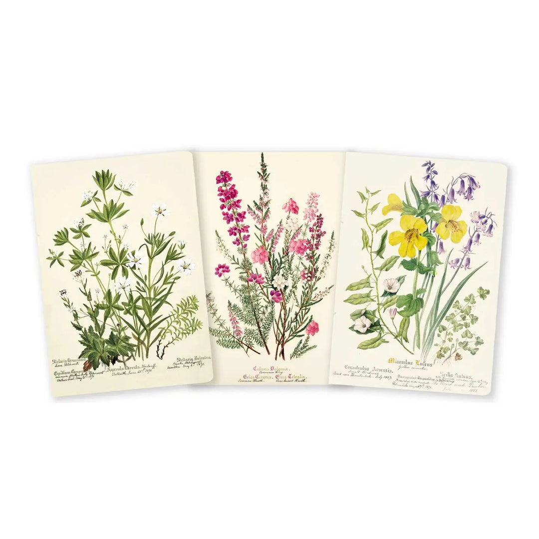 Royal Botanic Garden of Edinburgh Set of Three 3.5" x 5.75" Mini Notebooks