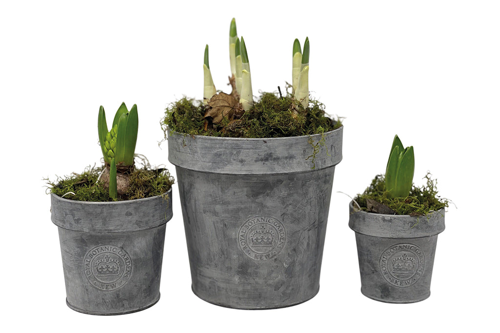 Kew Gardens Round Zinc Pot with Rim