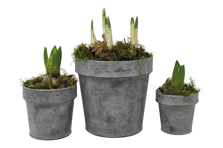 Kew Gardens Round Zinc Pot with Rim