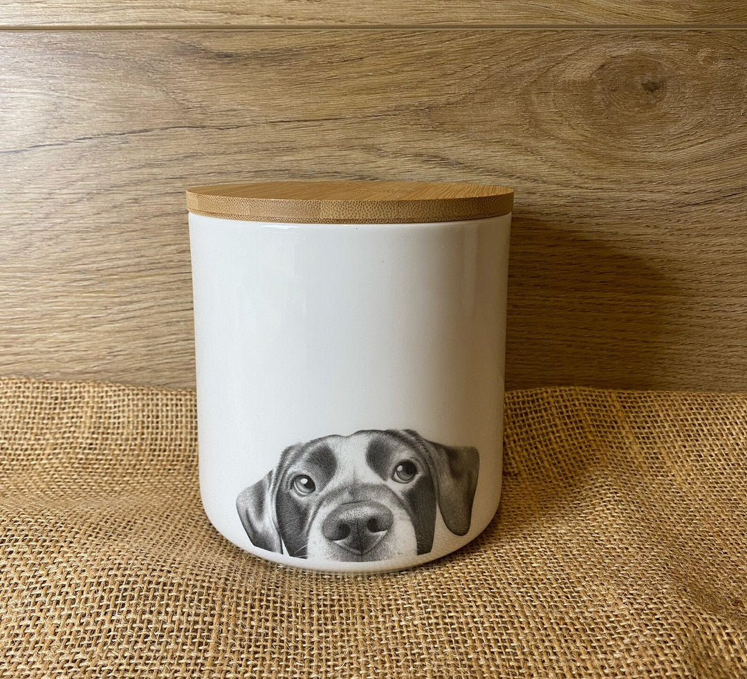 Lenny the Labrador Fine Bone China Storage Jar