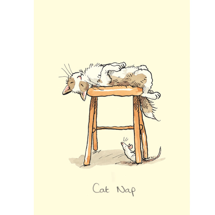 Cat Nap Greetings Card
