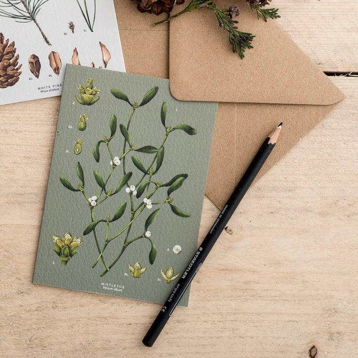 Mistletoe - Species Collection - Christmas Card