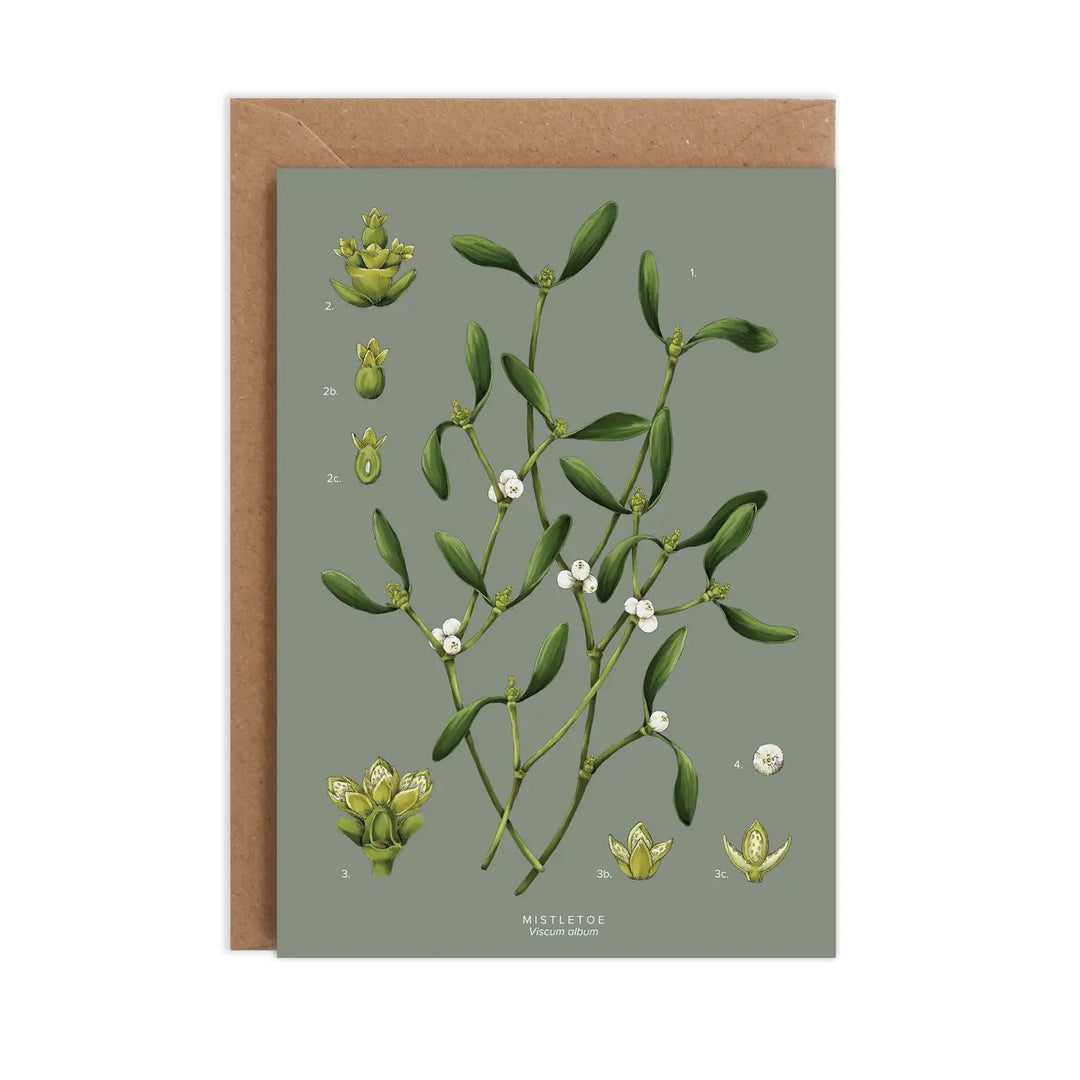 Mistletoe - Species Collection - Christmas Card