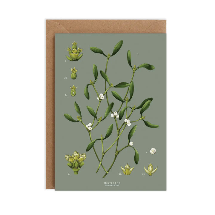 Mistletoe - Species Collection - Christmas Card
