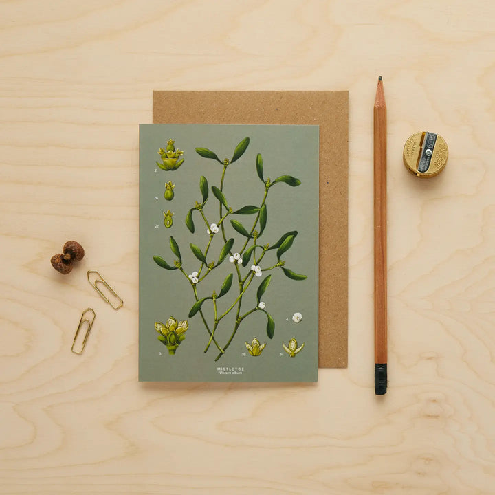 Mistletoe - Species Collection - Christmas Card