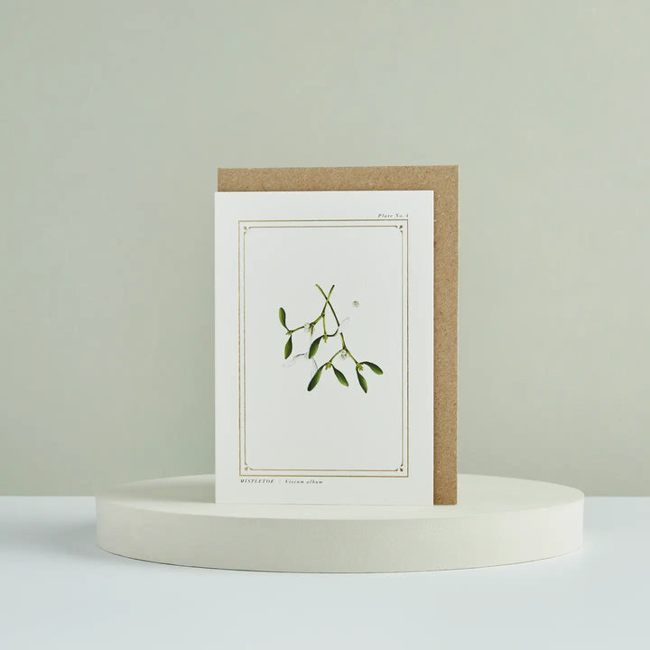 Mistletoe - 'Botanical Archive: Festive Edition' Greeting Card