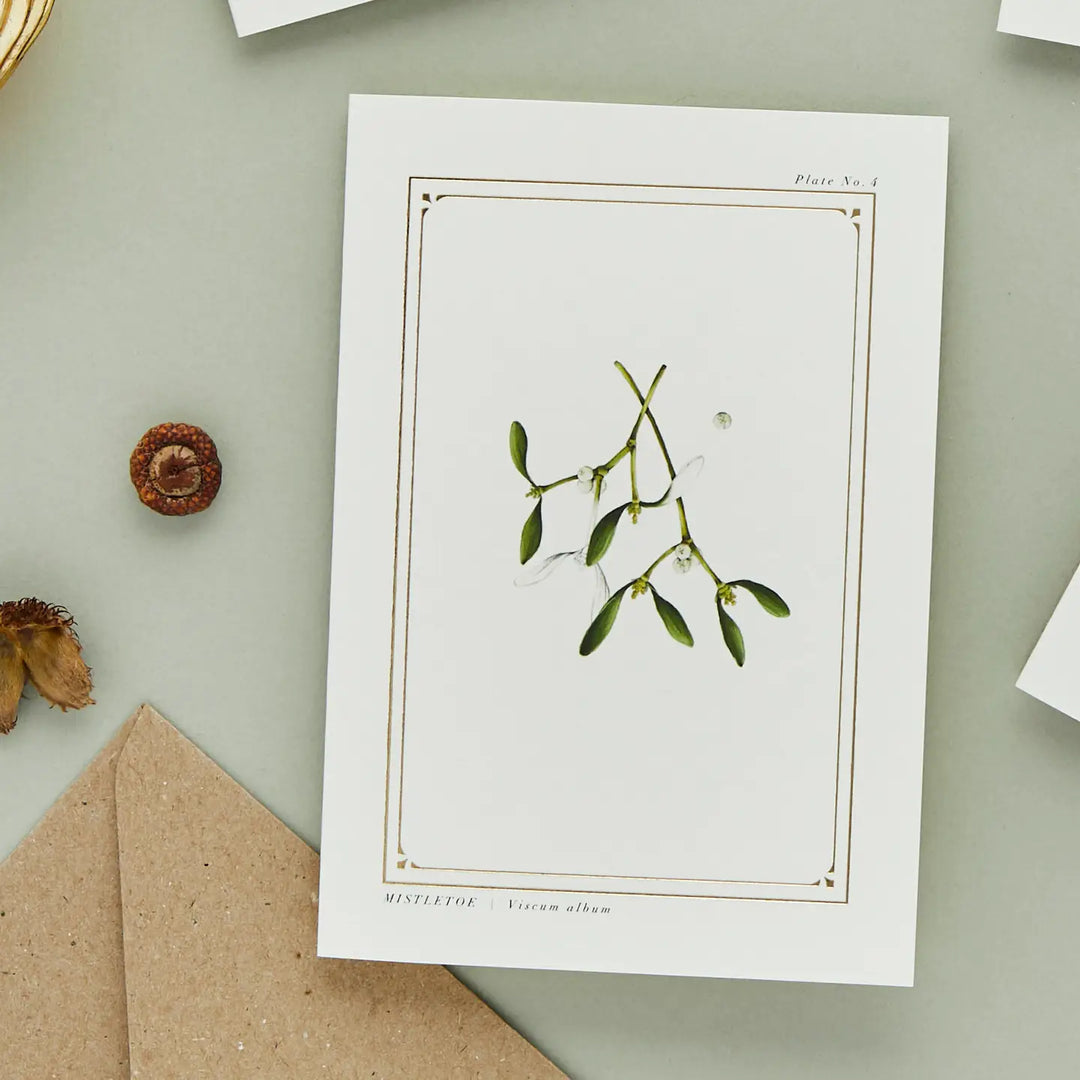 Mistletoe - 'Botanical Archive: Festive Edition' Greeting Card