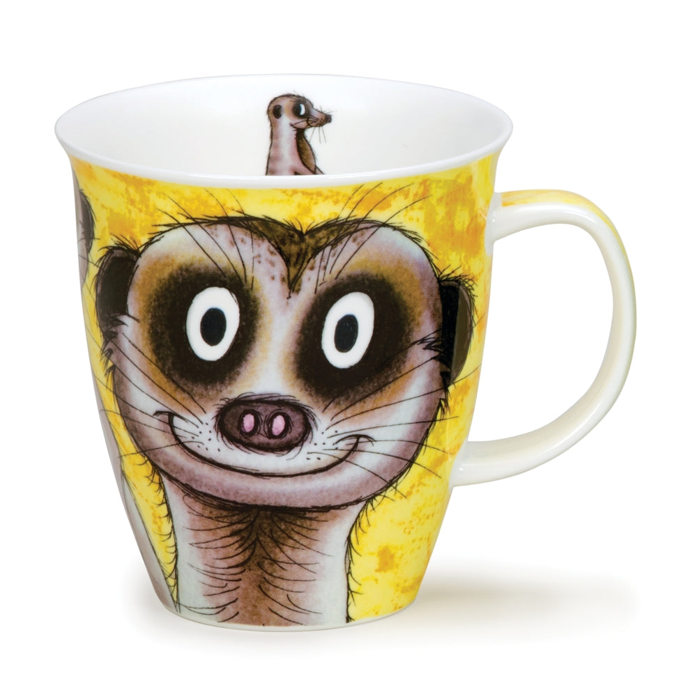 Nevis Go Wild Meerkat