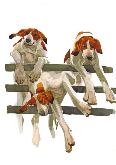 Over the Rails Journal by Mary Ann Rogers
