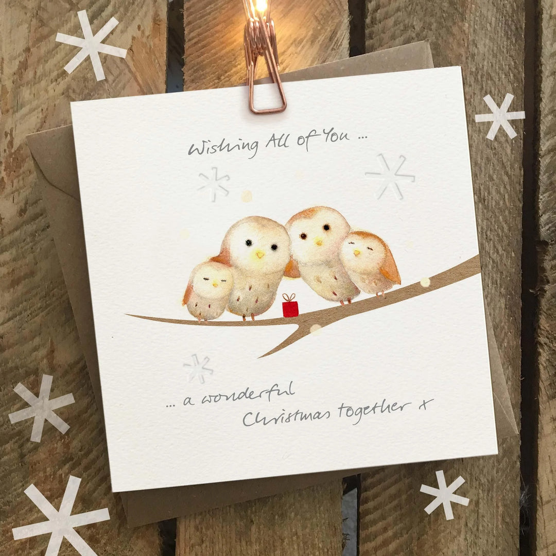 Wishing All of You a Wonderful Christmas Together Owl Card