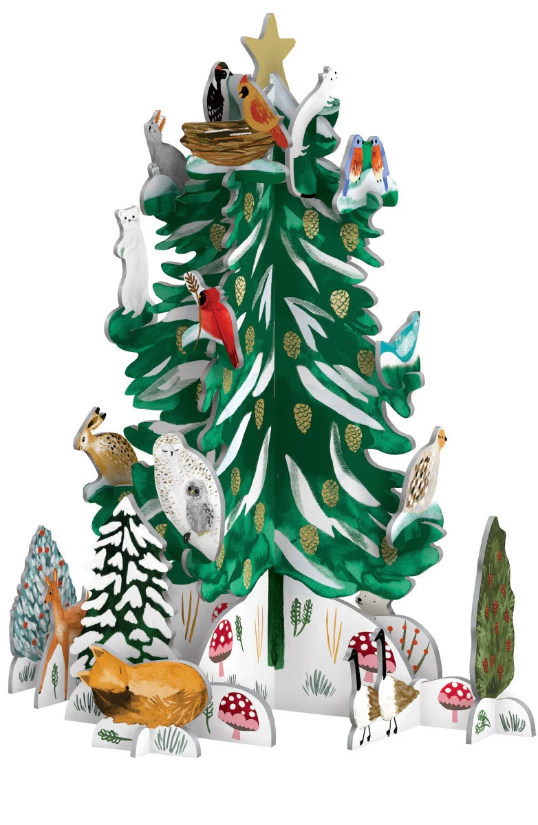 Christmas Conifer Pop and Slot Advent