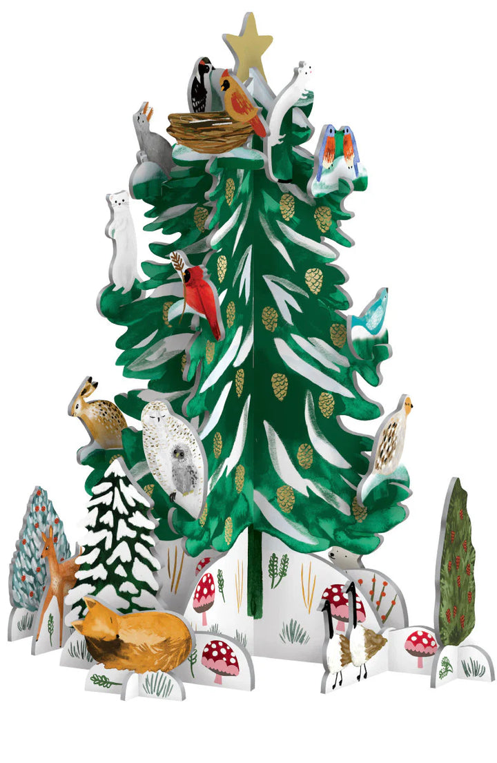 Christmas Conifer Pop and Slot Advent