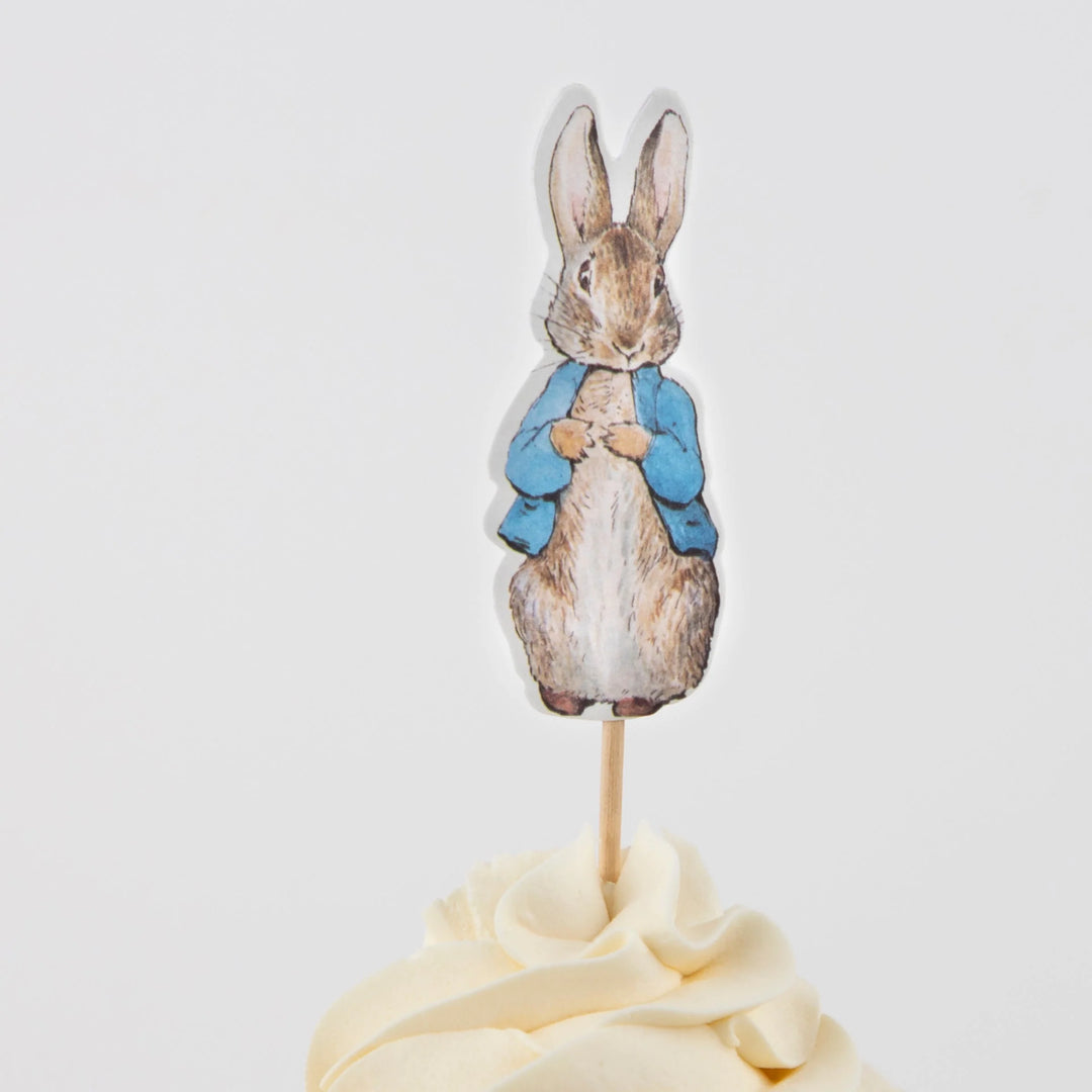 Peter Rabbit In the Garden Cupcake Kit