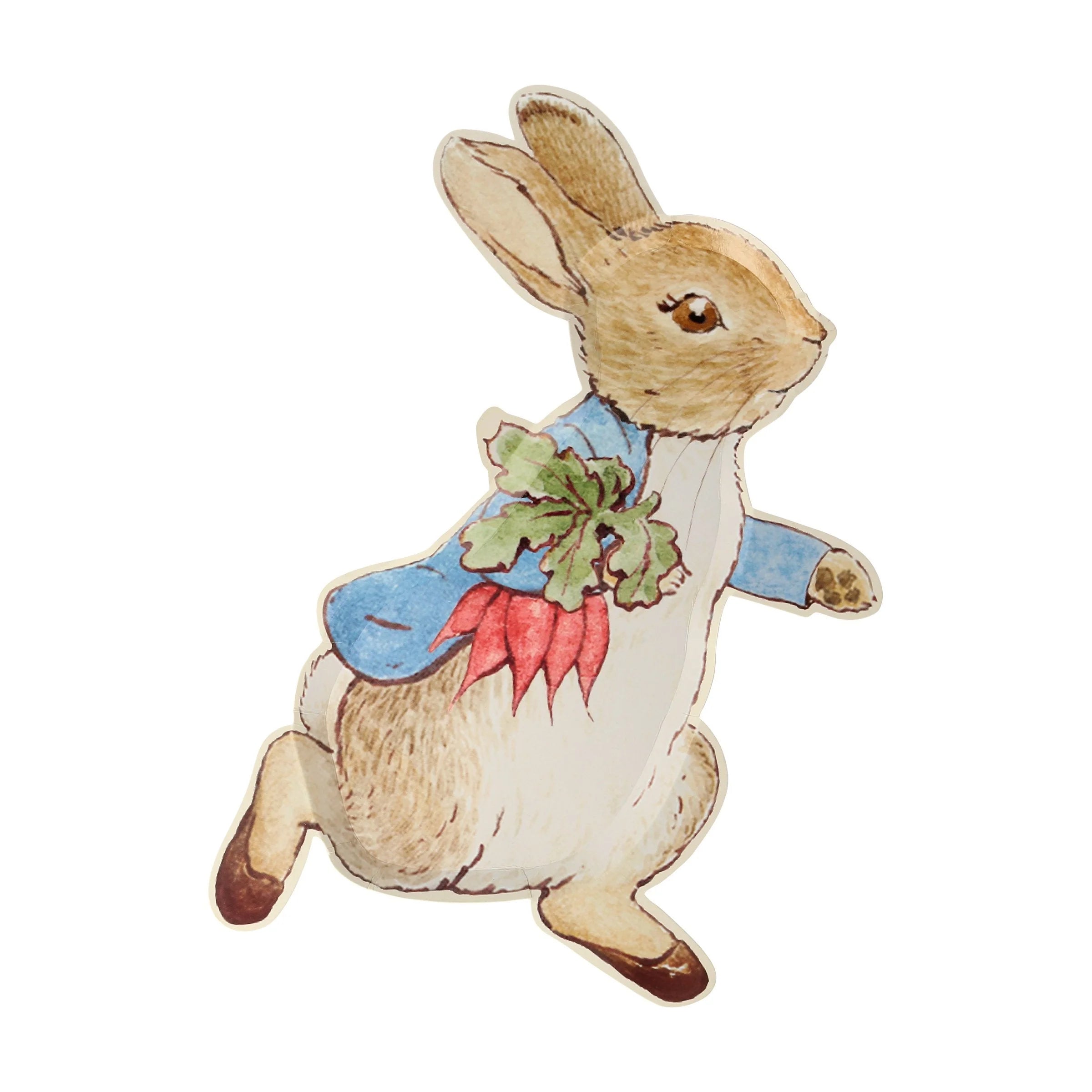 Peter Rabbit Paper Plates – The Bee's Knees British Imports