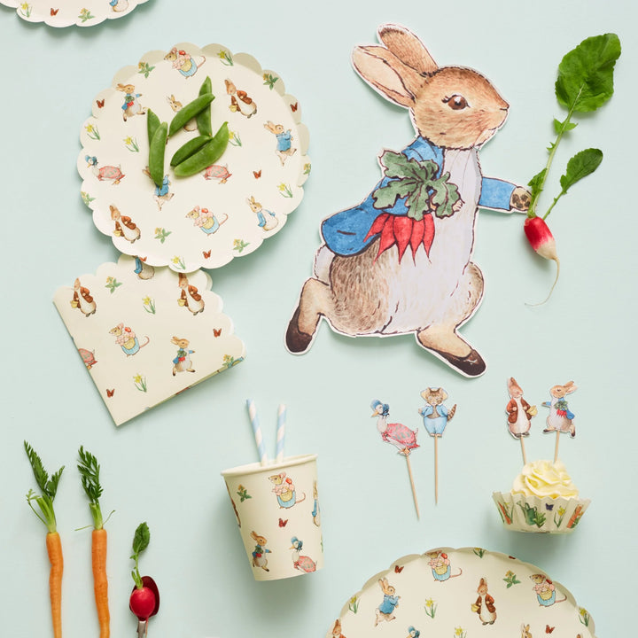Peter Rabbit Paper Plates