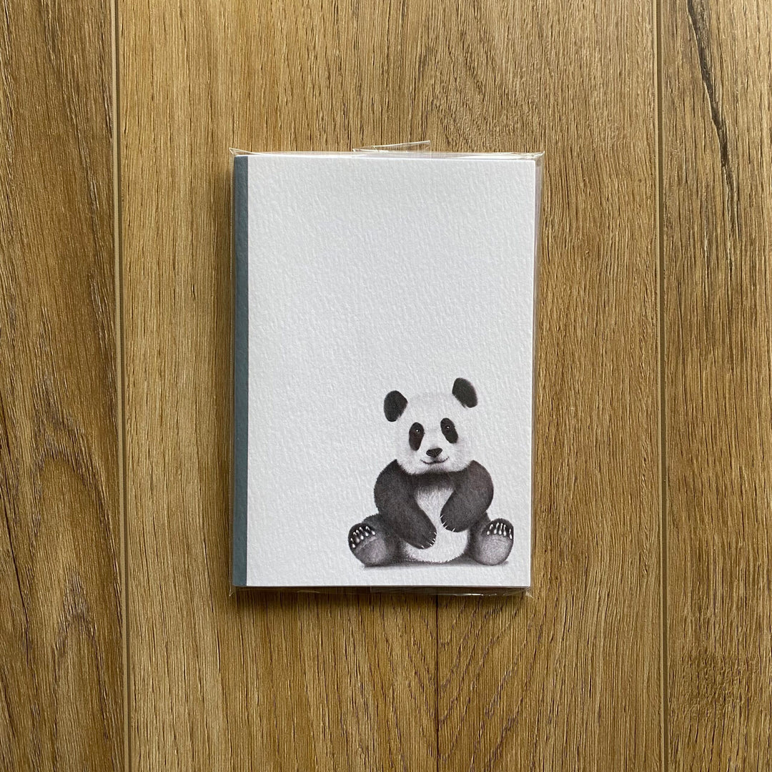 Panda A6 Notebook