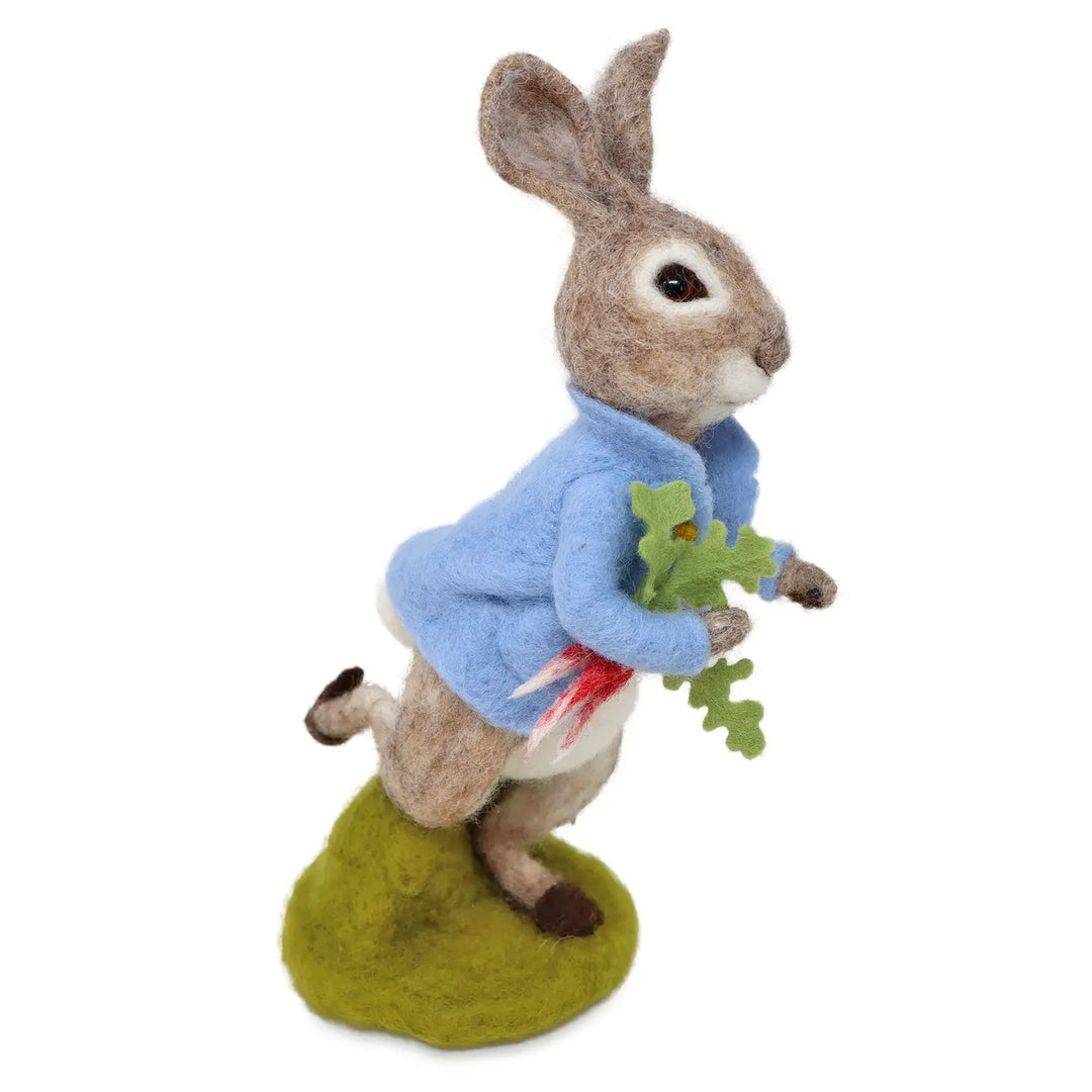 Meet Peter Rabbit and Friends  Peter Rabbit™: Explore and Play