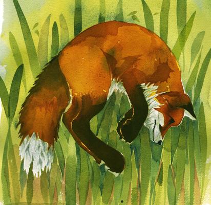 Pounce Greetings Card