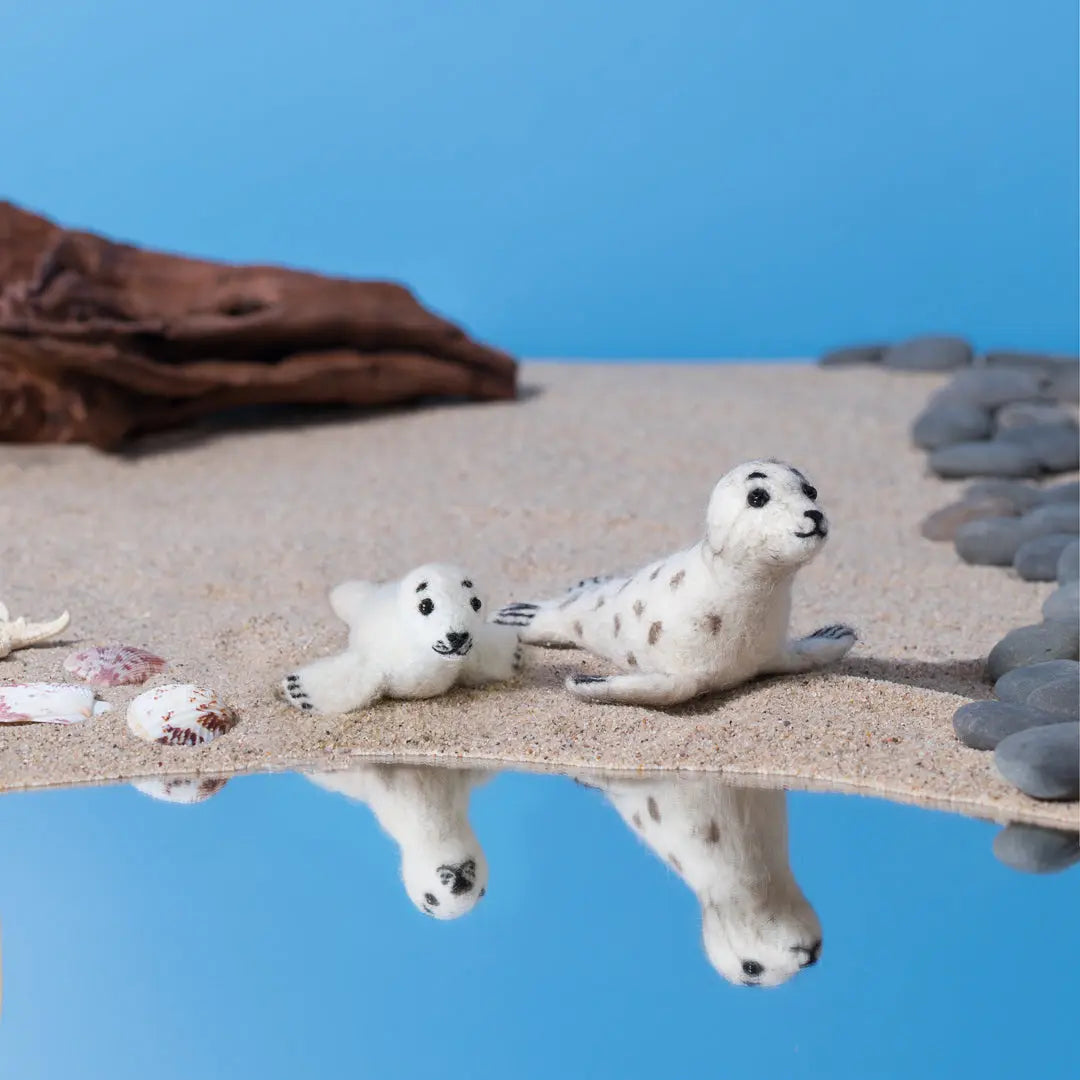Sandy Seal and Baby Shelly
