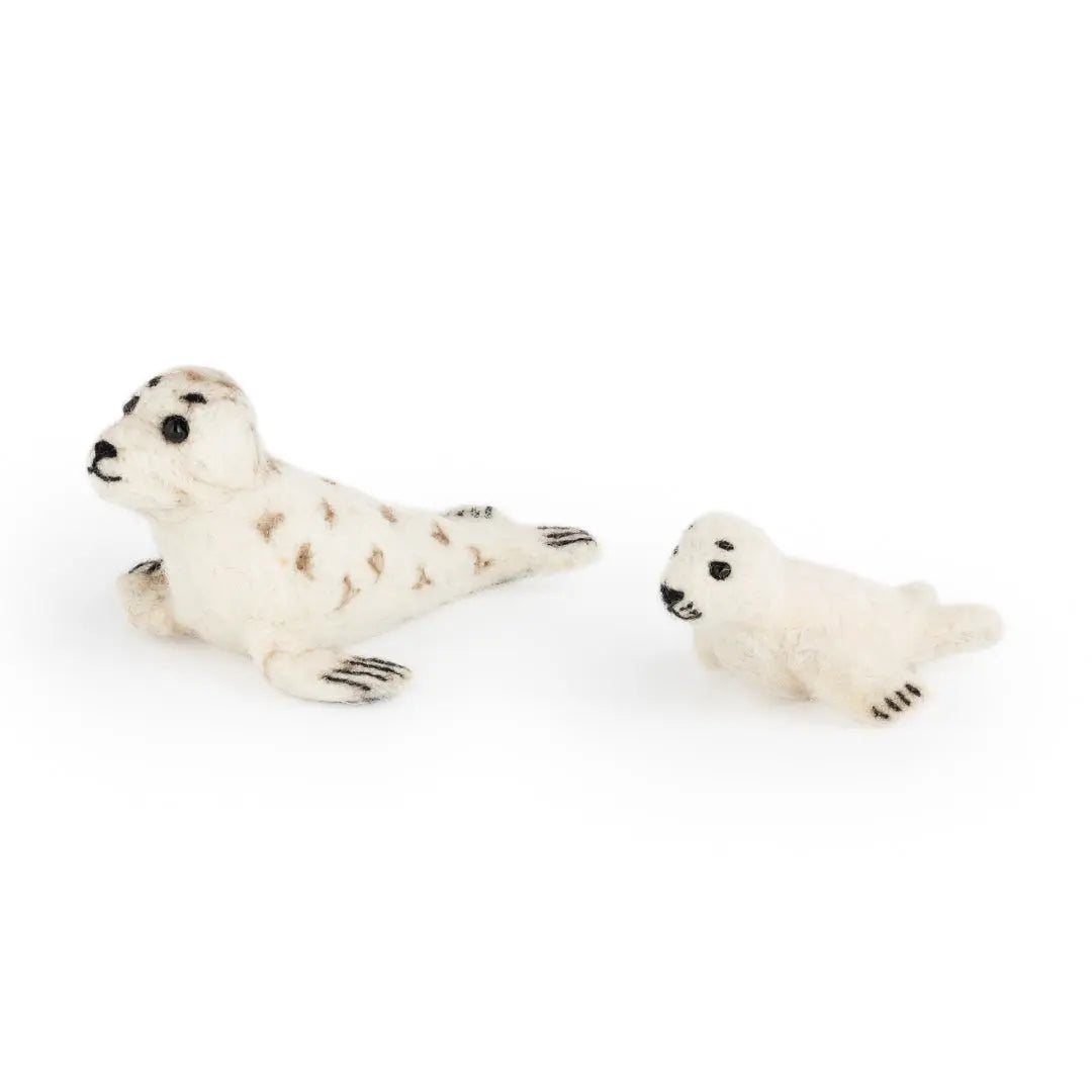 Sandy Seal and Baby Shelly